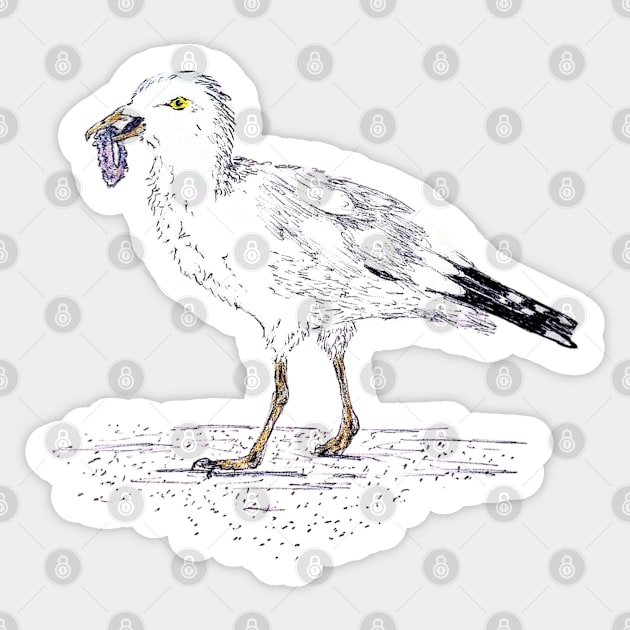 Seagull Snacks Sticker by Animal Surrealism